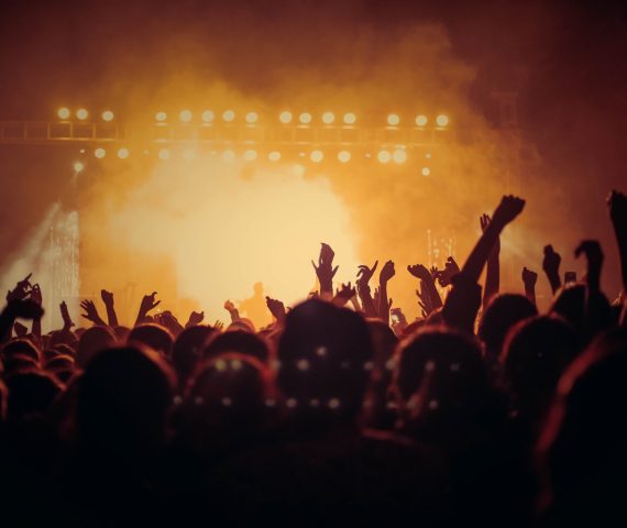 Hörselskydd erbjuds hos Audioteket. Hos Audioteket erbjuds hörselskydd för konserter och kan bokas på audiotek.se.